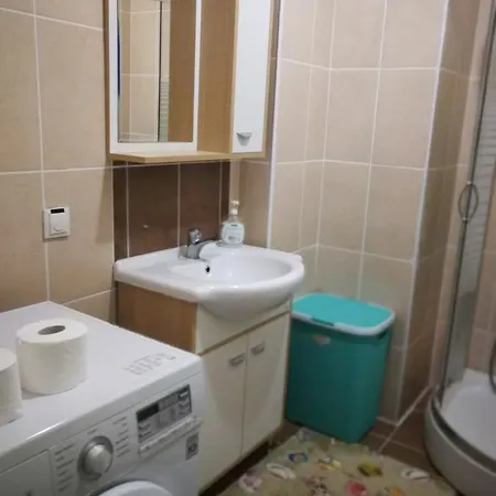Daire 1 Apartment